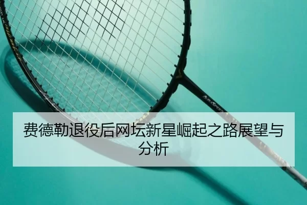 费德勒退役后网坛新星崛起之路展望与分析