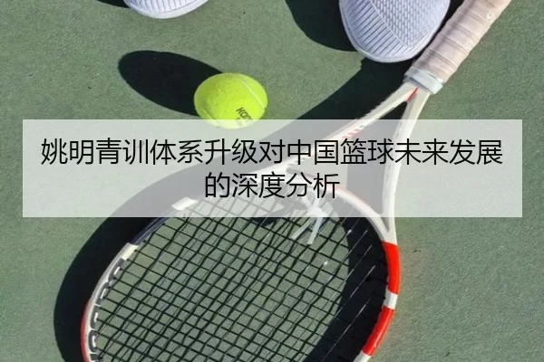 姚明青训体系升级对中国篮球未来发展的深度分析